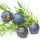 گوچی بای گوچی اسپرت - Juniper Berries